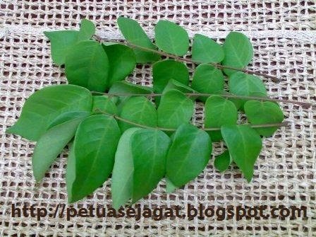 4 Khasiat Daun Belimbing Besi