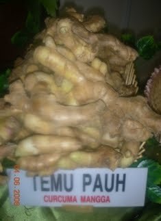 Petua Kecutkan Rahim dengan Temu Mangga