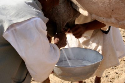 Alternatif Jika Lemah Tenaga Batin 1