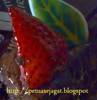Khasiat Buah Strawberi untuk Anda