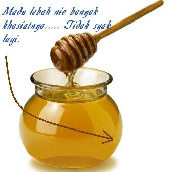 12 Khasiat Madu Lebah Asli
