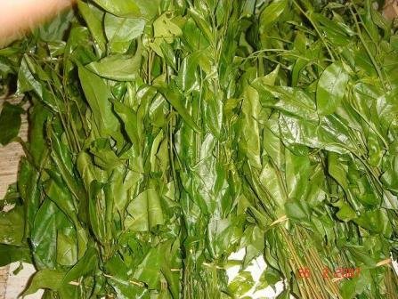 Petua Ringkas Mengubati Ulser Mulut