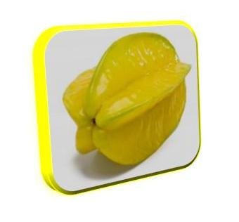 Petua Hilangkan Kelemumur dan Kutu