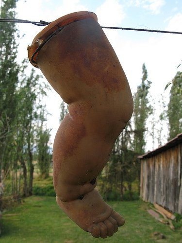 isla de las muneces isla de las muneces