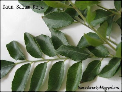 Daun Salam (Daun kari) Daun Salam (Daun kari)