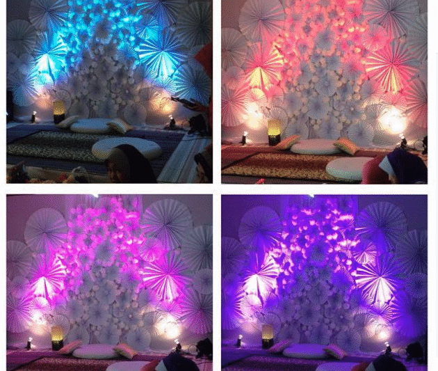 Bajet Tak Sampai RM100, Wanita Ini Hanya Buat Pelamin Secara DIY