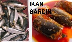 IKAN SARDIN – HEBATNYA DIA!