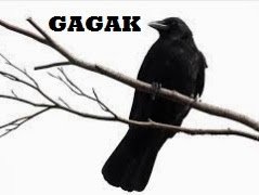 BURUNG GAGAK