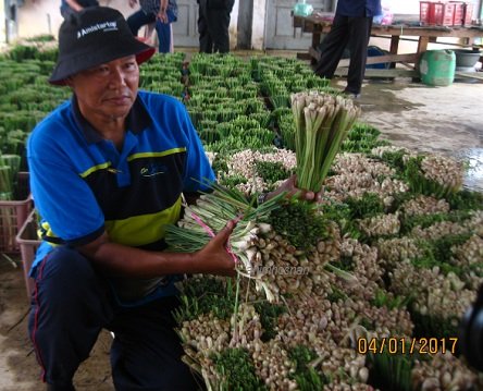 USAHAWAN SERAI BERJAYA