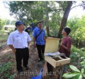 KELULUT – SARANG KURANG RISIKO