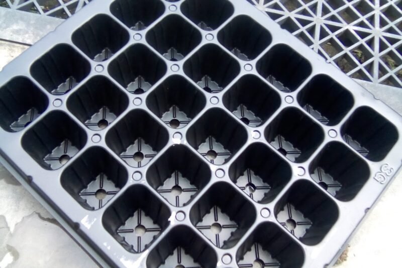 Jenis-jenis Bekas / Tray Semaian