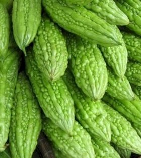 PERIA – TEKNOLOGI TANAMAN (Part 1)