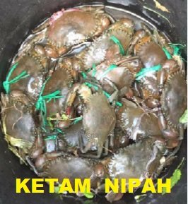 KETAM NIPAH – SATU POTENSI