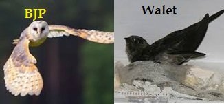 BURUNG HANTU DAN WALIT – TEKNOLOGI KAWALAN (Part 2)