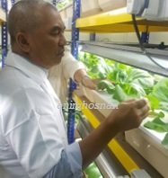 'VEGE FACTORY' – SATU INOVASI