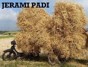 KAEDAH BETUL KITAR SEMULA JERAMI PADI