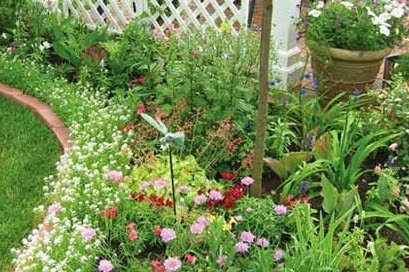 TANAMAN PENYERAP RACUN