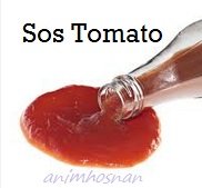 SOS DAN PEMBUATANNYA