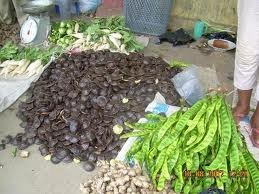 JERING – TESTIMONI