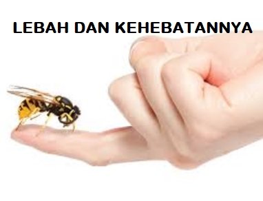 AWET MUDA – TERAPI SENGATAN LEBAH?