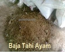 TAHI AYAM – BAJA ORGANIK
