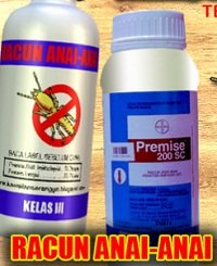 BAHAYA RACUN SERANGGA – ANDA TAHU?