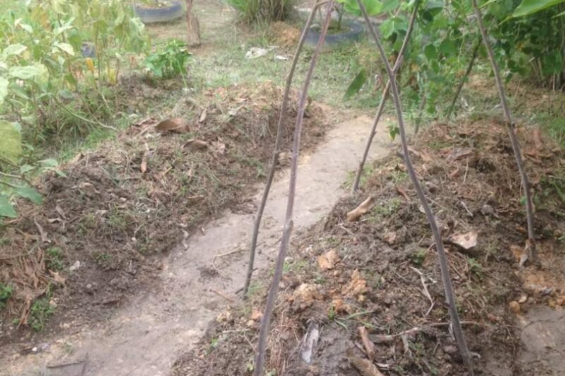 Pasu Pintar ( Smart Pot ) – Bahagian 2 : Idea dan Konsep