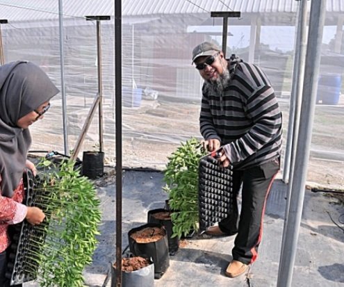 SEKOLAH LADANG PETANI – SATU KONSEP