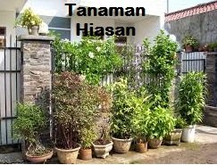 TANAM AN HIASAN – SATU CATITAN