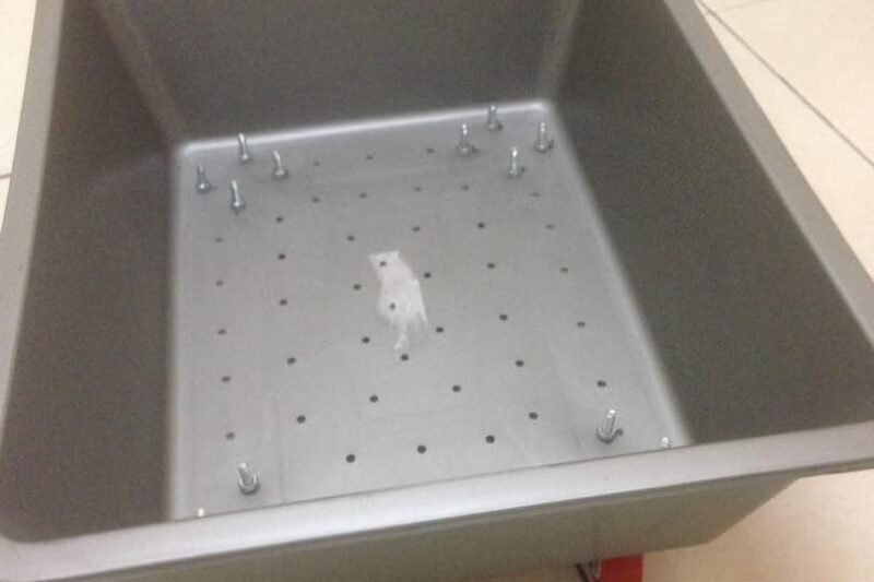 Bekas Semaian Beroda