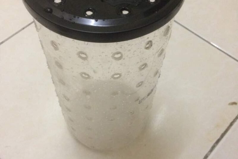 Taugeh Balang 3 ( Kacang Soya )