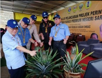 SARAWAK HUB BARU NANAS MD2