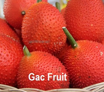 BUAH GAC – APA DIA?