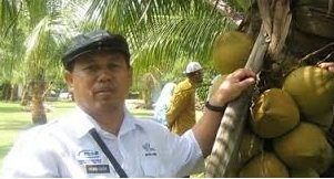 KELAPA – INFO EKONOMI