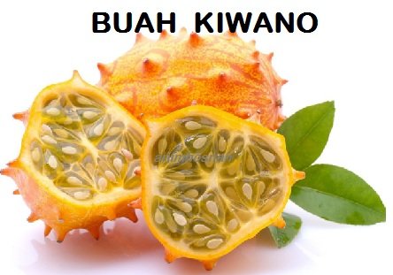 BUAH KIWANO – KENALI DIA