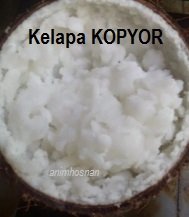 KELAPA KOPYOR – MEMBUAT BENIH