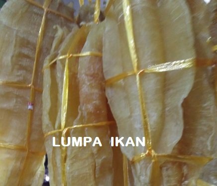 LUMPA IKAN – MAHALNYA !!