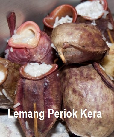 LEMANG PERIOK KERA