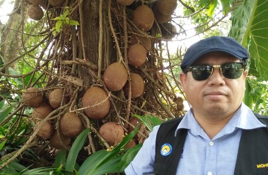 CANNON BALL – BUAH UNIK