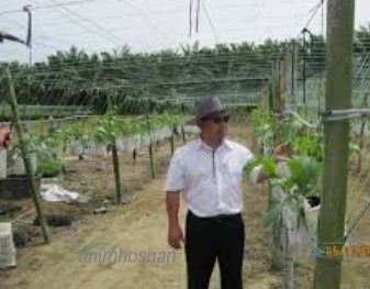 AGRIMATHS – FERTIGASI (Part 5)