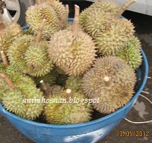 DURIAN – MACAM2 KISAH