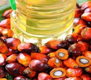 KEMPEN ANTI MINYAK SAWIT – TIDAK LOGIK