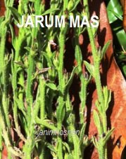 RUMPUT JARUM MAS -HERBA VS VIAGRA