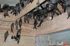 INDUSTRI MEWAH WALET