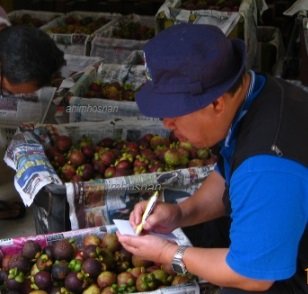 PEMBIAKAN MESTA – CARA KERATAN MIKRO