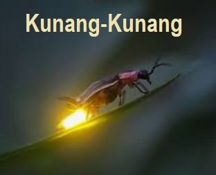 KUNANG-KUNANG – SERANGGA UNIK!
