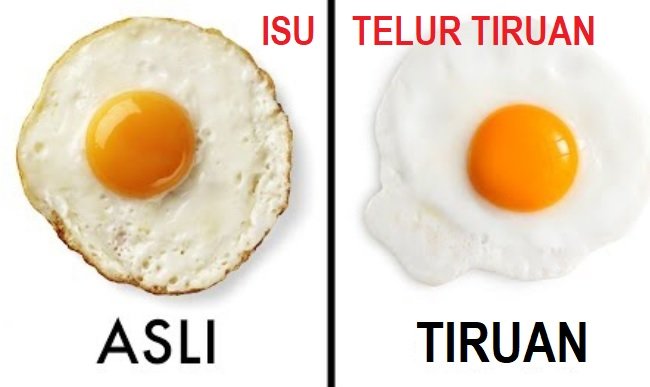 TELUR AYAM TIIRUAN – SATU ANCAMAN???