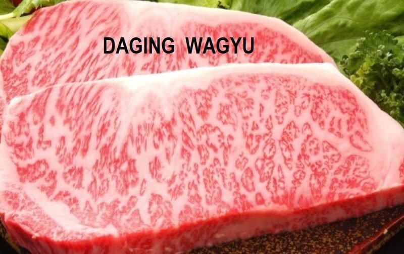 DAGING WAGYU – LAPORAN MEDIA
