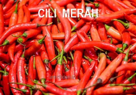 ISU CILI IMPORT VIETNAM – MEDIA LAPOR