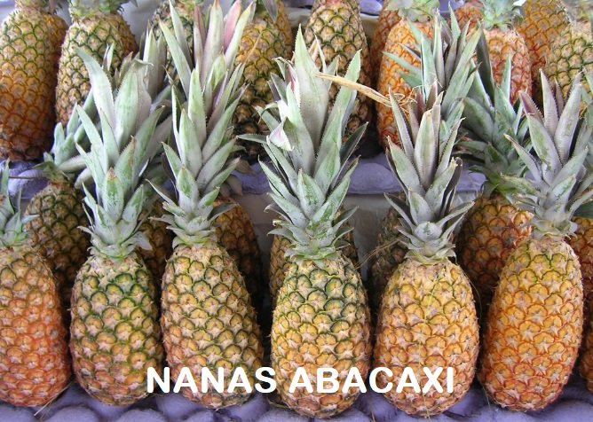NANAS ABACAXI – KENALI DIA